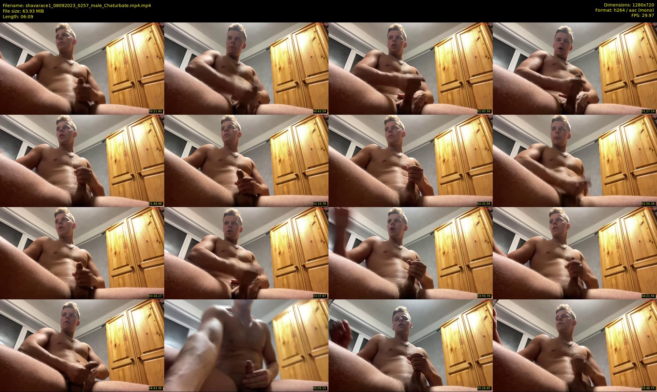 shavarace1 — 7 minute Chaturbate male cam show recording, 720p, Sep 8, 2023