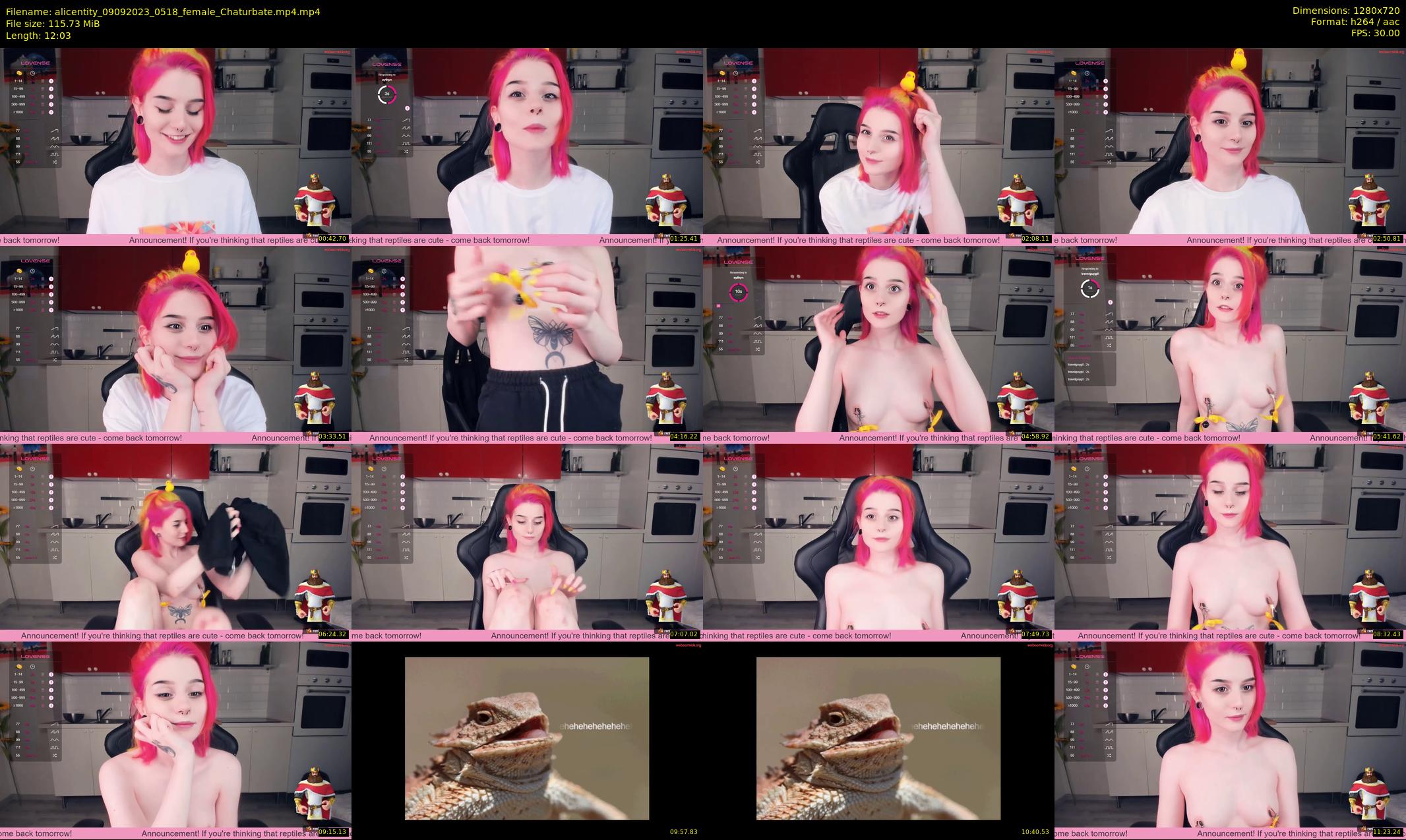 alicentity — 13 minute Chaturbate female cam show recording, 720p, Sep 9, 2023