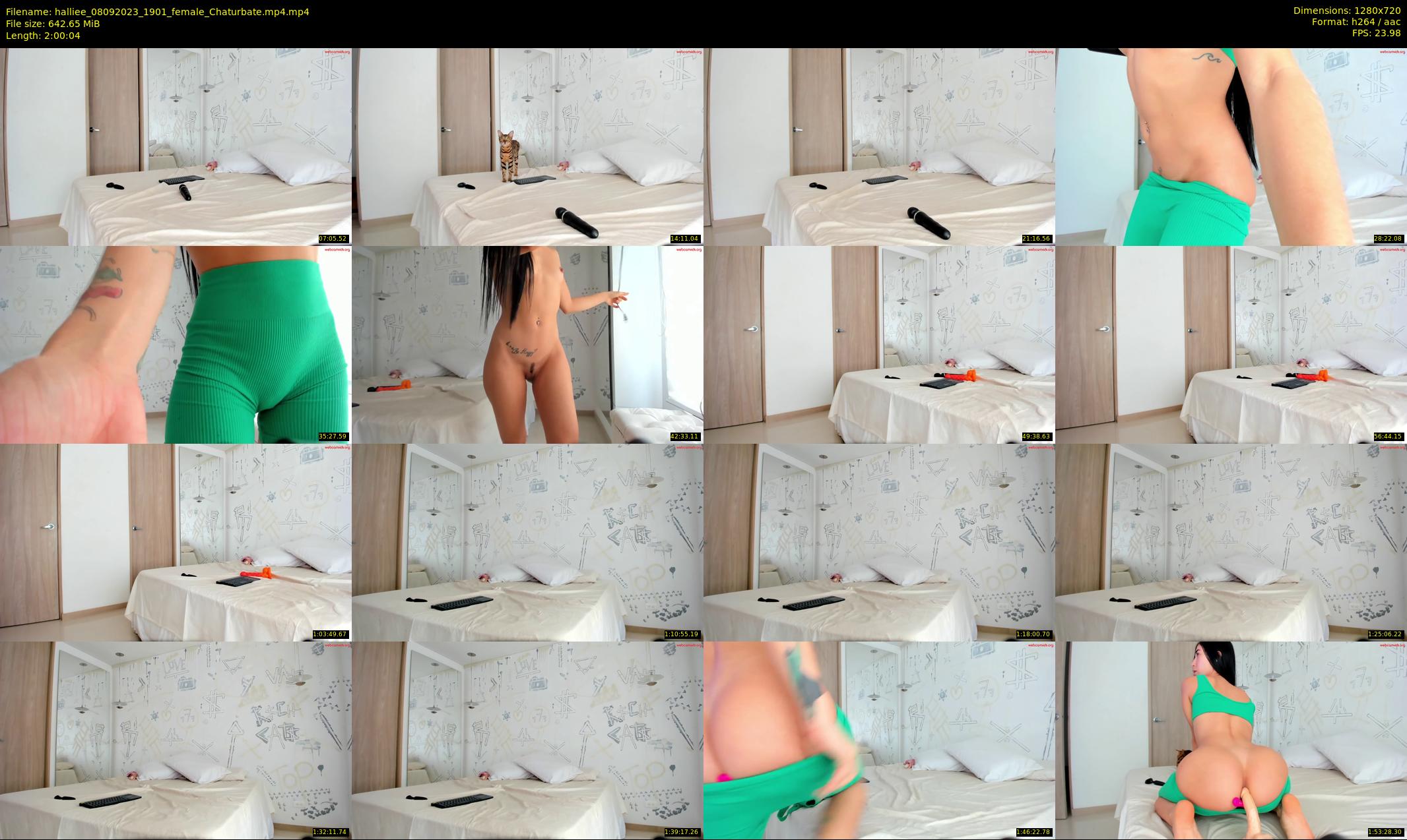 halliee — 121 minute Chaturbate couple cam show recording, 720p, Sep 8, 2023