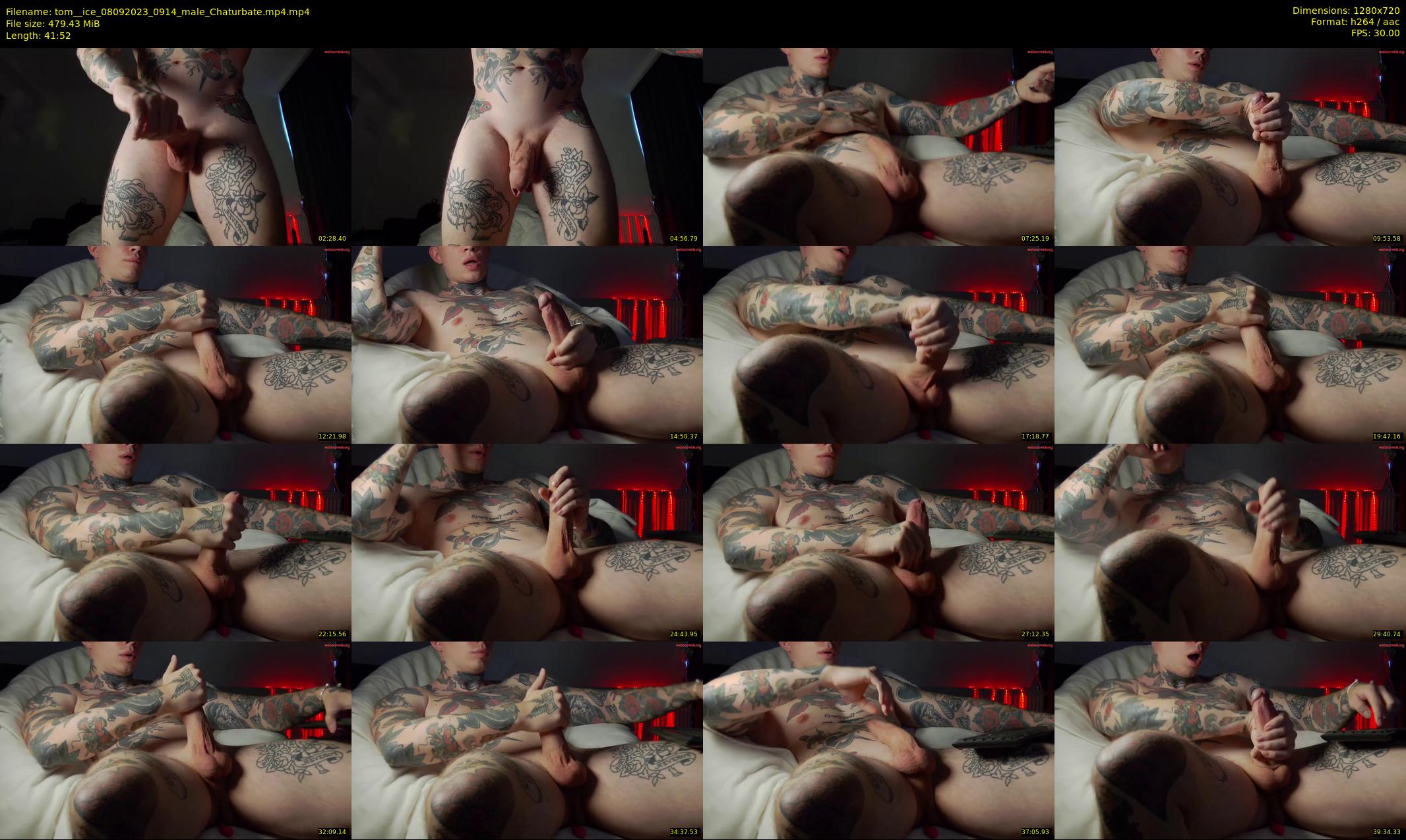 tom__ice — 42 minute Chaturbate male cam show recording, 720p, Sep 8, 2023