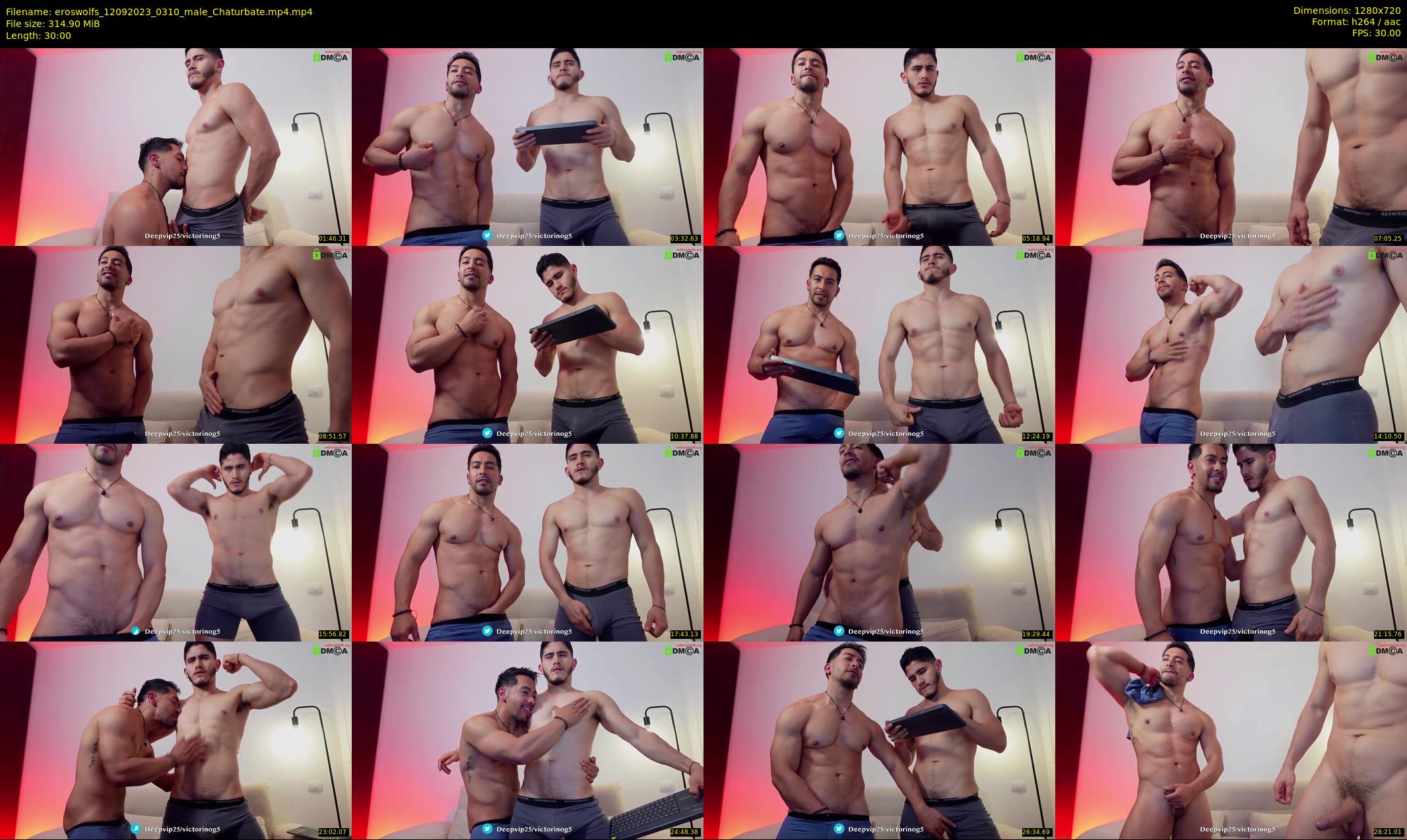 eroswolfs — 30 minute Chaturbate male cam show recording, 720p, Sep 12, 2023