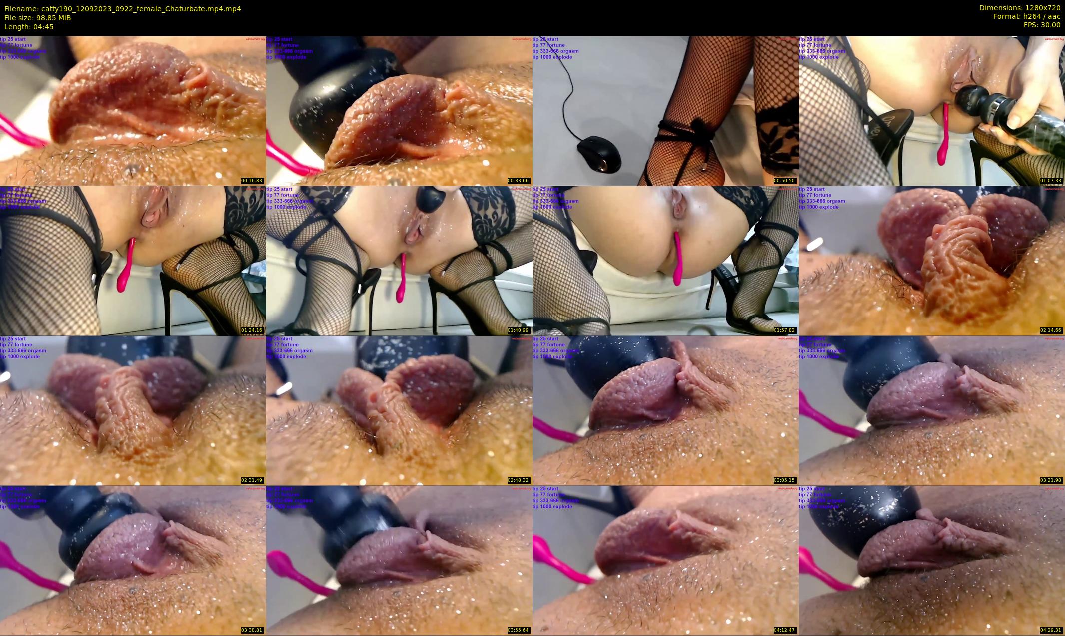 catty190 — 5 minute Chaturbate female cam show recording, 720p, Sep 12, 2023