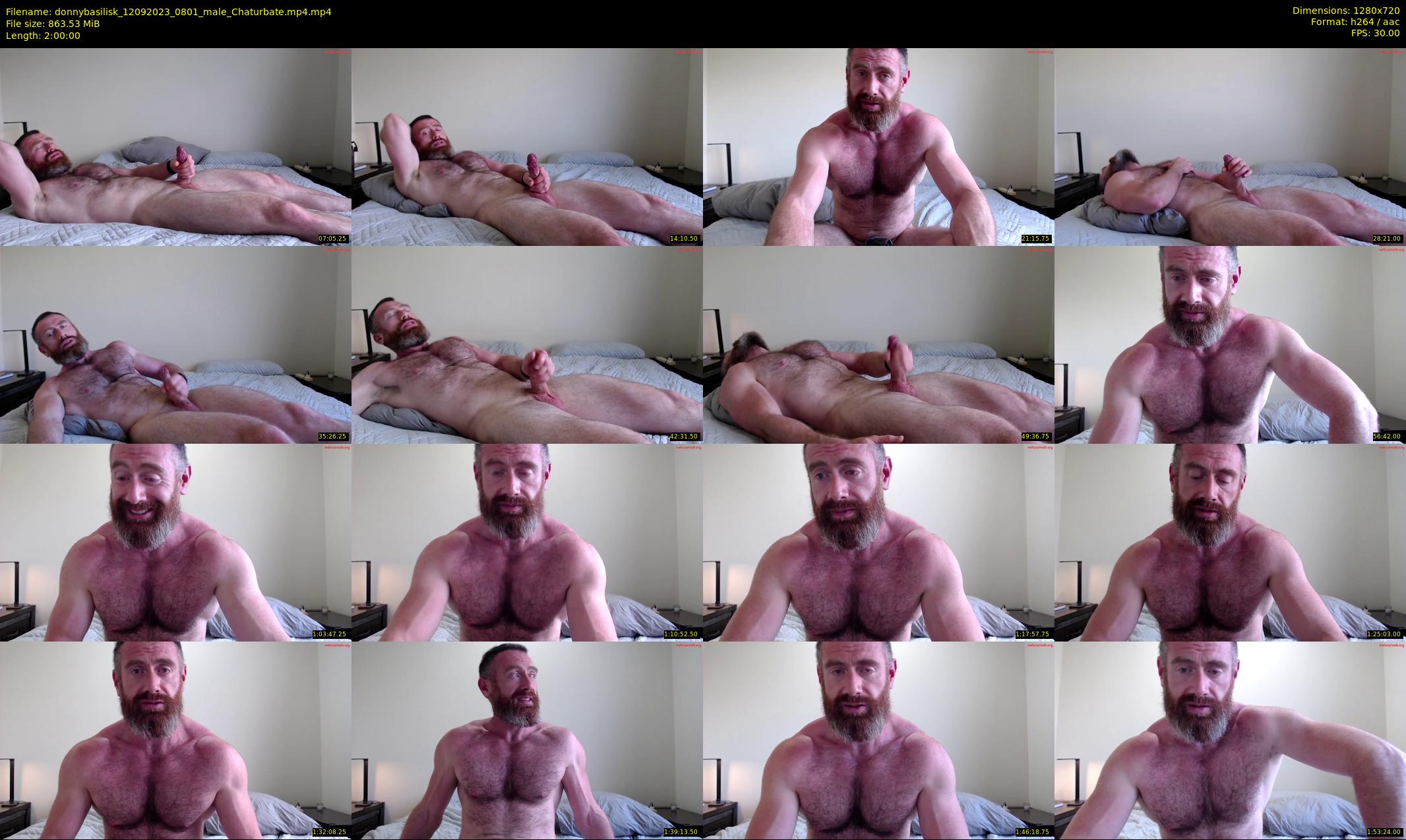donnybasilisk — 120 minute Chaturbate male cam show recording, 720p, Sep 12, 2023