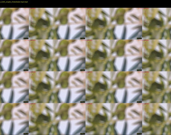 heathimogene — 5 minute Chaturbate female cam show recording, 720p, Sep 13, 2023