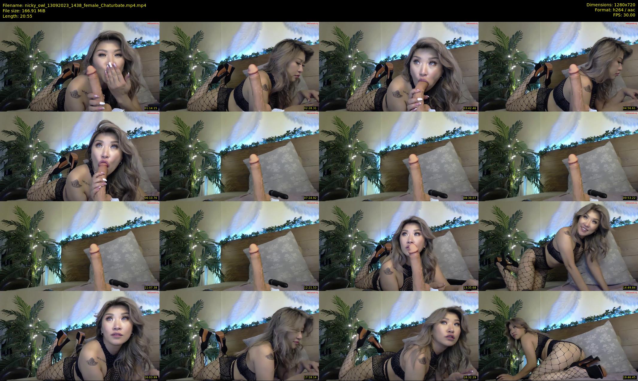 nicky_owl — 21 minute Chaturbate female cam show recording, 720p, Sep 13, 2023