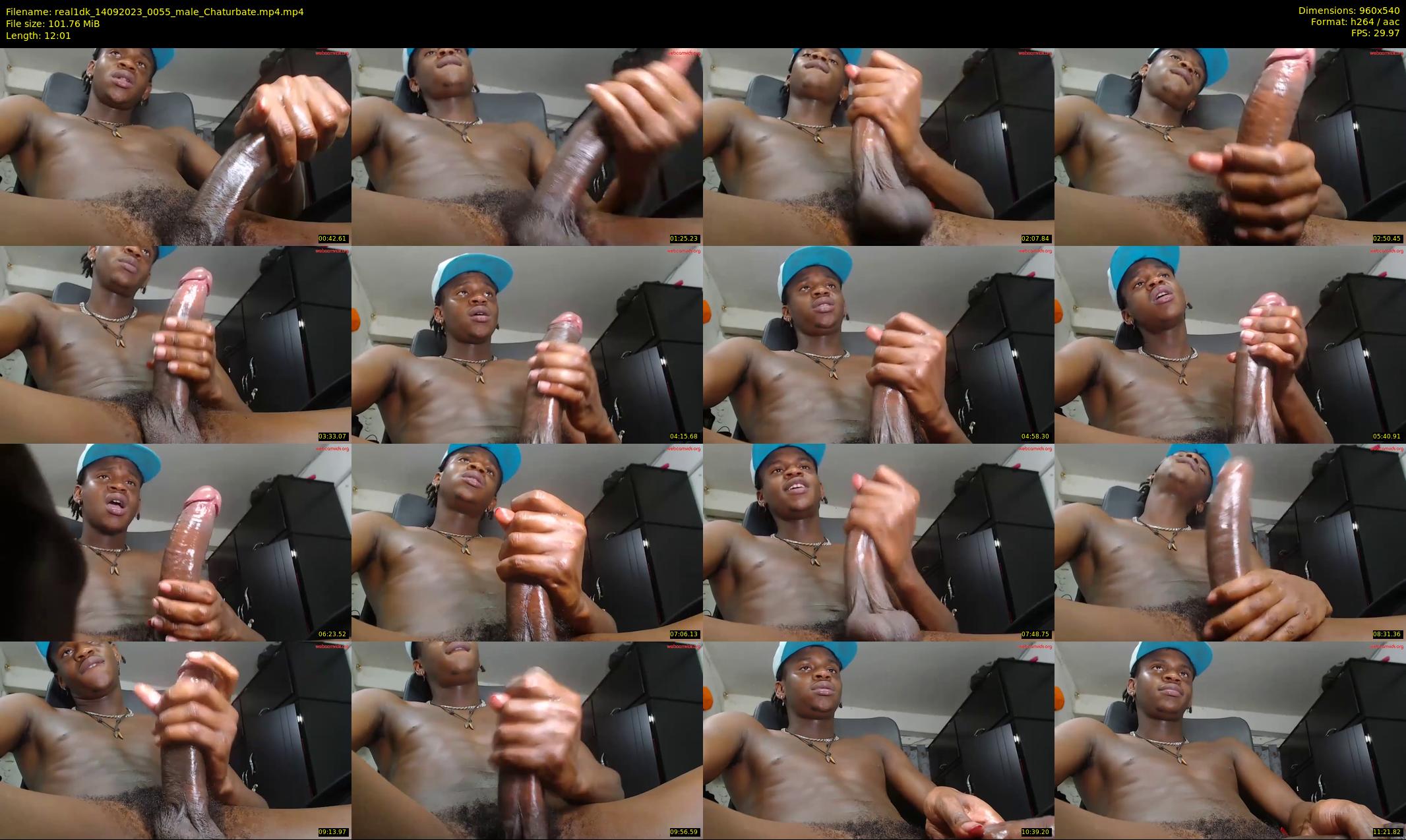 real1dk — 13 minute Chaturbate male cam show recording, 480p, Sep 14, 2023