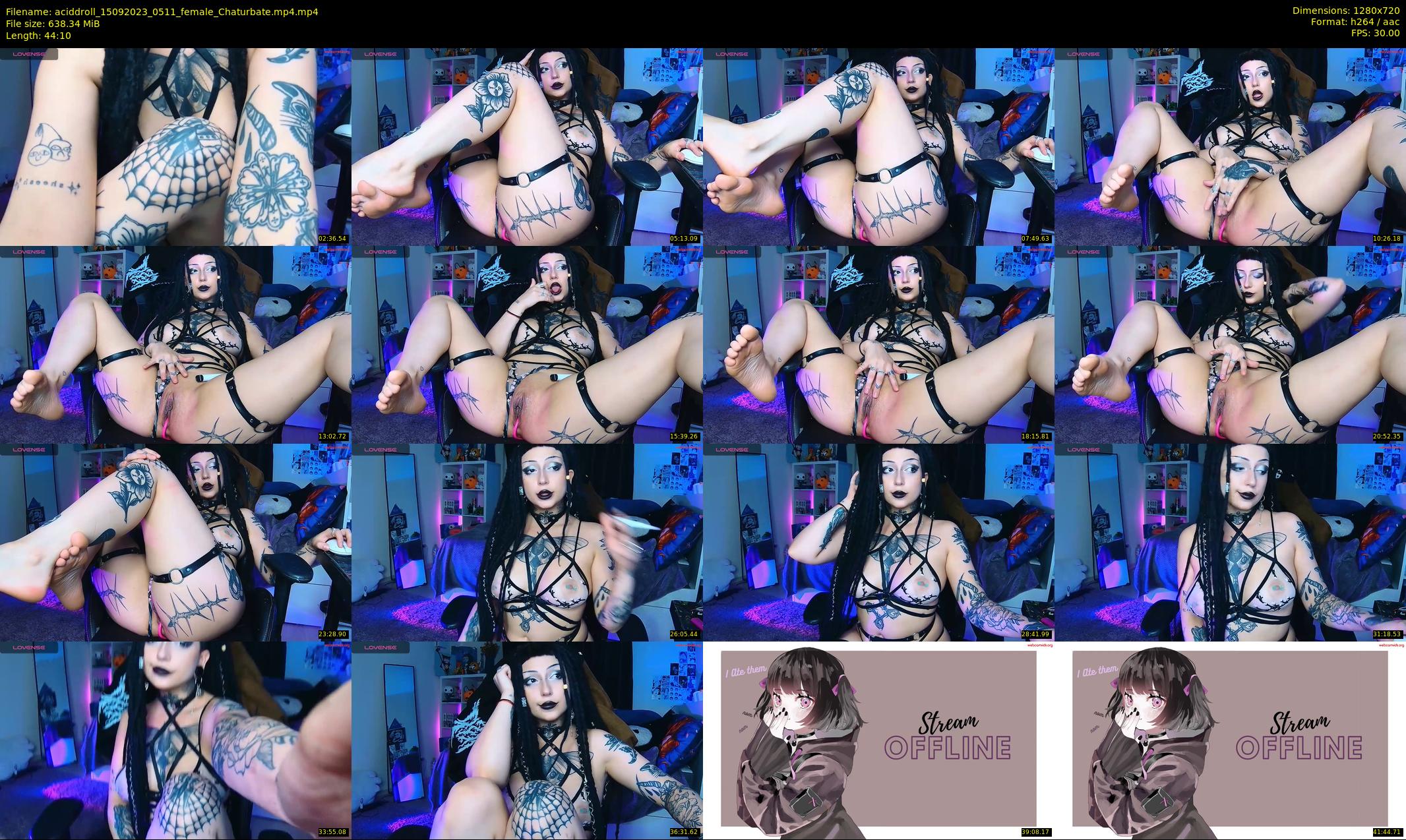 aciddroll — 45 minute Chaturbate female cam show recording, 720p, Sep 15, 2023