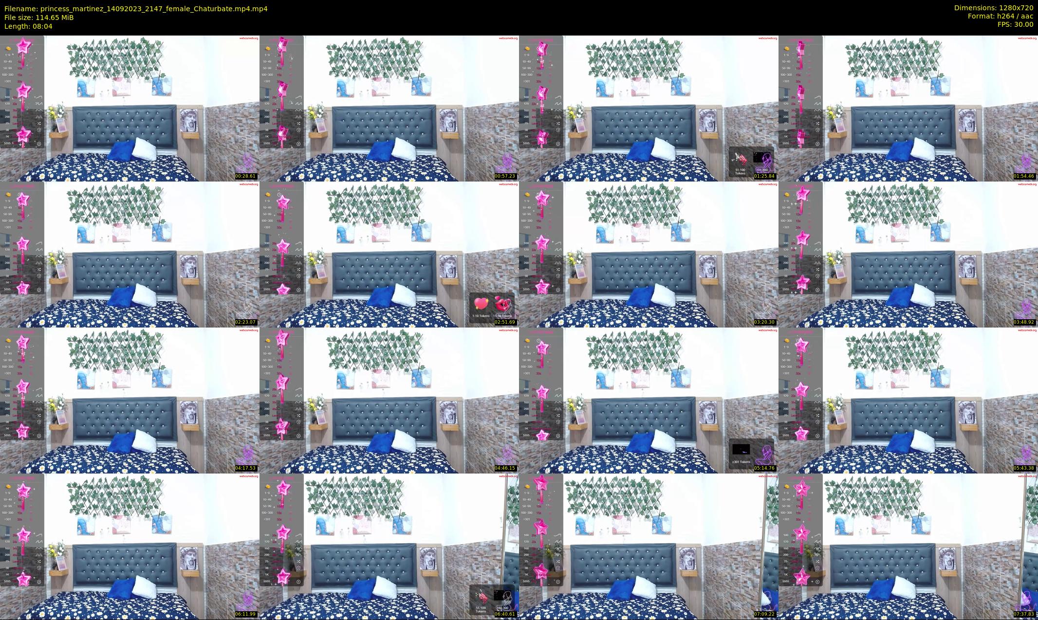princess_martinez — 9 minute Chaturbate female cam show recording, 720p, Sep 14, 2023