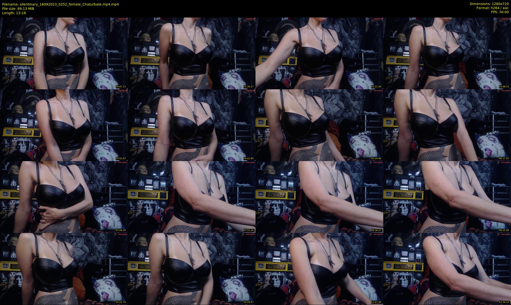 silentmary — 14 minute Chaturbate female cam show recording, 720p, Sep 16, 2023