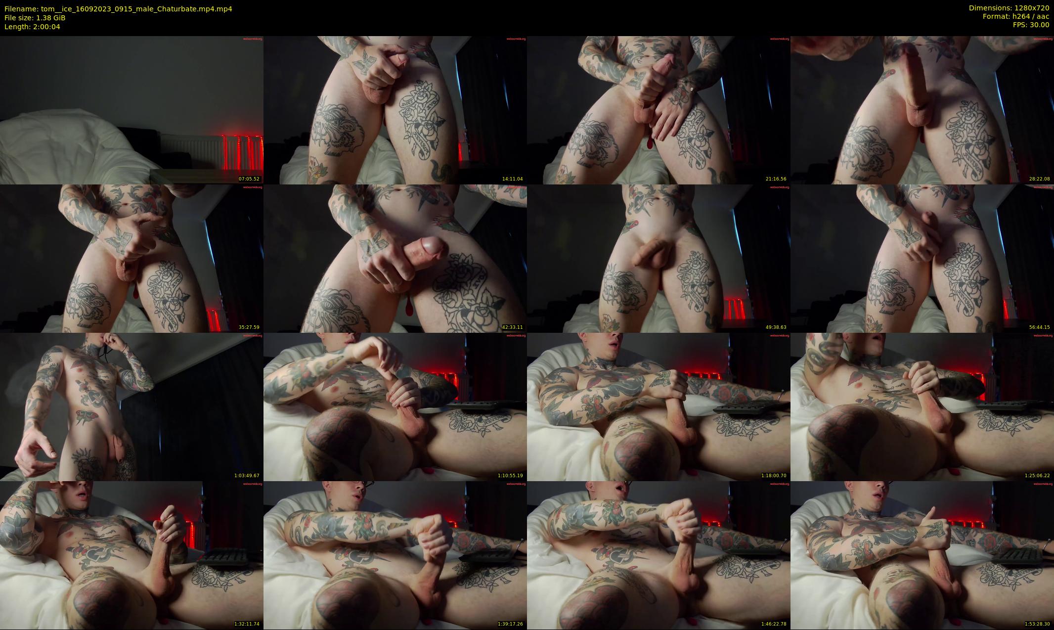 tom__ice — 121 minute Chaturbate male cam show recording, 720p, Sep 16, 2023