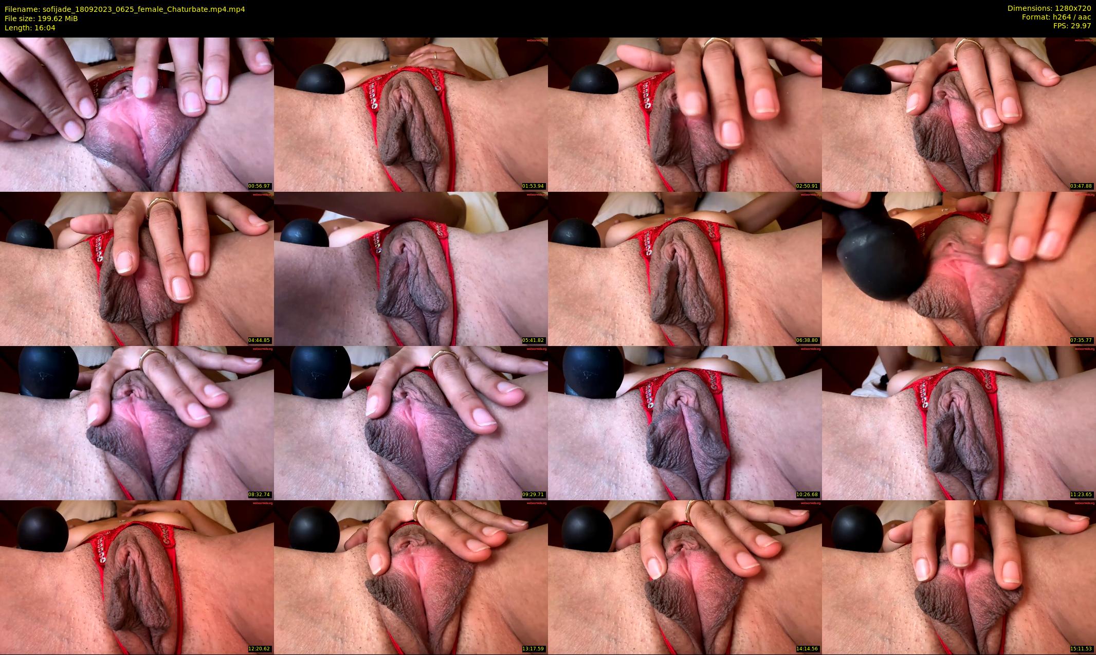 sofijade — 17 minute Chaturbate female cam show recording, 720p, Sep 18, 2023