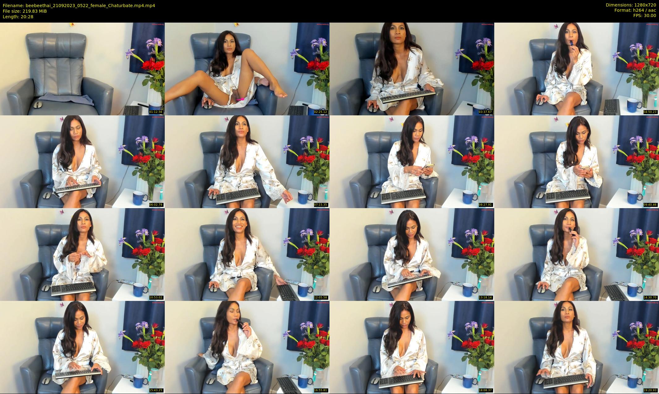 beebeethai — 21 minute Chaturbate female cam show recording, 720p, Sep 21, 2023