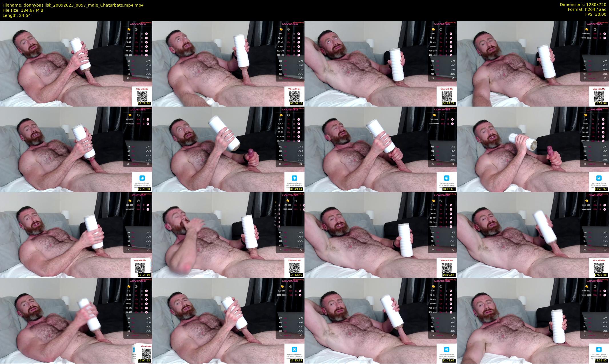 donnybasilisk — 25 minute Chaturbate male cam show recording, 720p, Sep 20, 2023