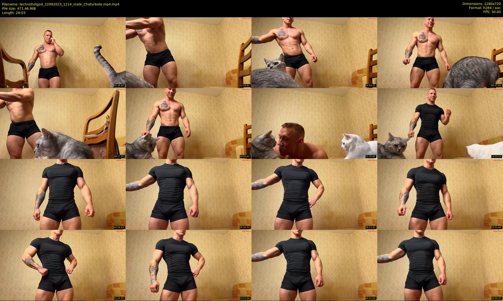technohotgod — 29 minute Chaturbate male cam show recording, 720p, Sep 22, 2023