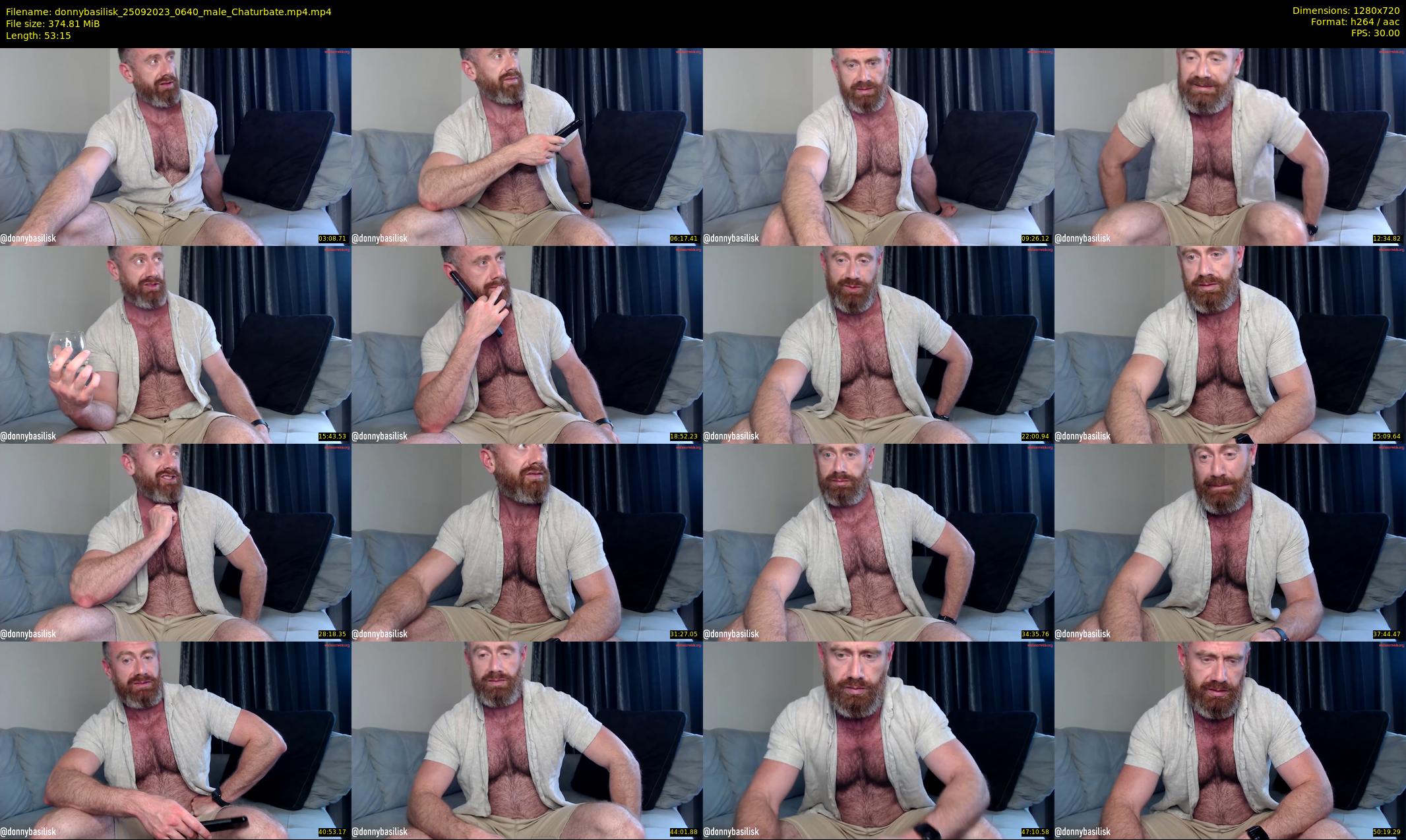 donnybasilisk — 54 minute Chaturbate male cam show recording, 720p, Sep 25, 2023