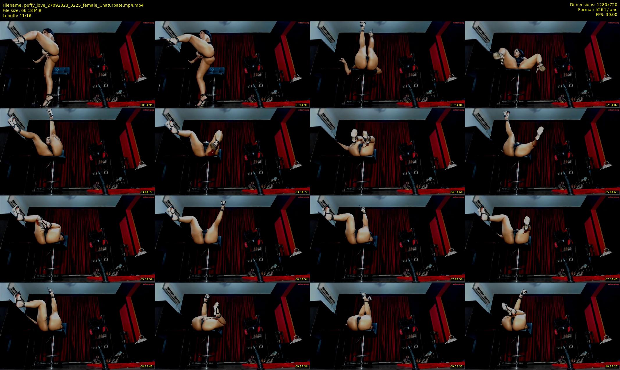 puffy_love — 12 minute Chaturbate female cam show recording, 720p, Sep 27, 2023