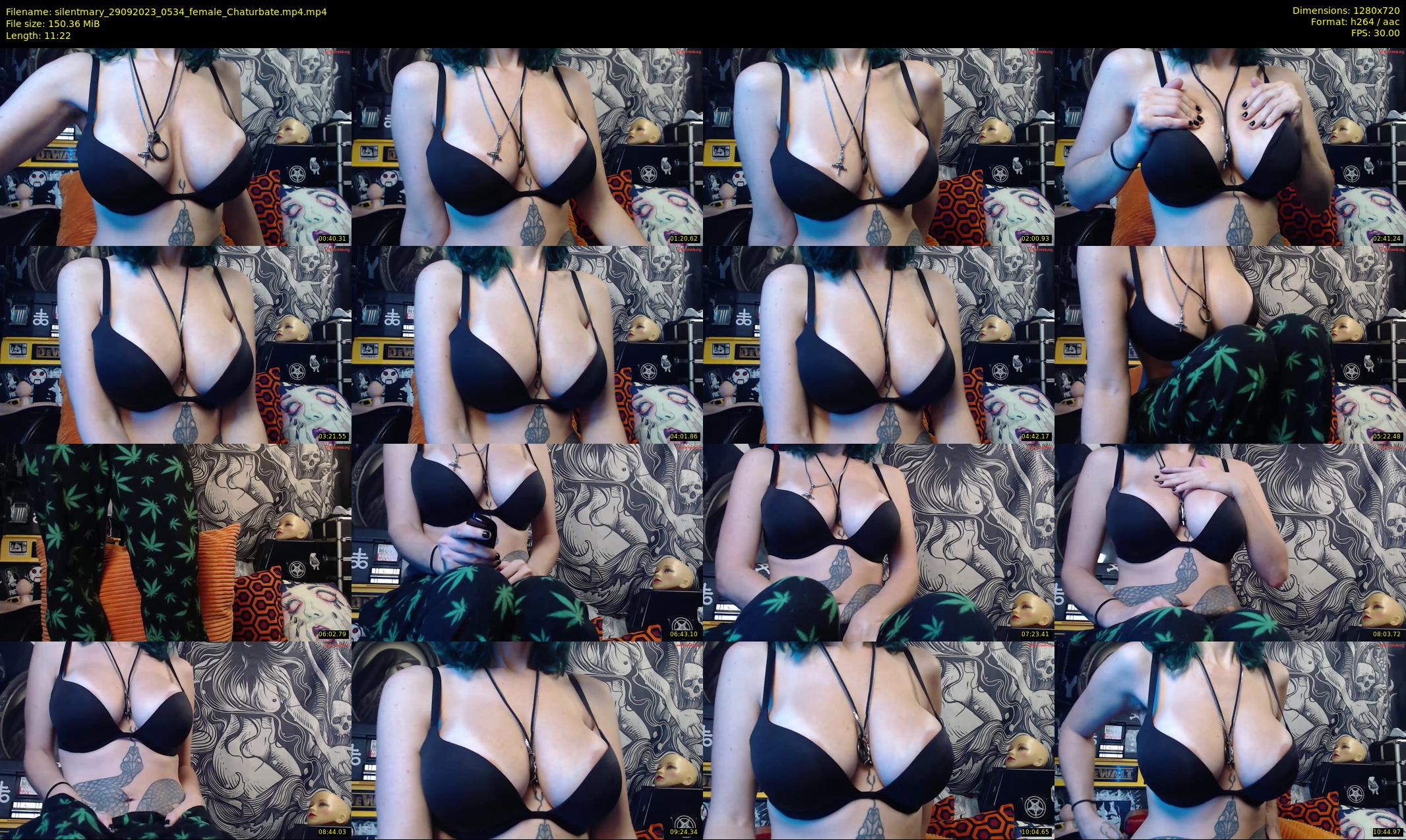 silentmary — 12 minute Chaturbate female cam show recording, 720p, Sep 29, 2023