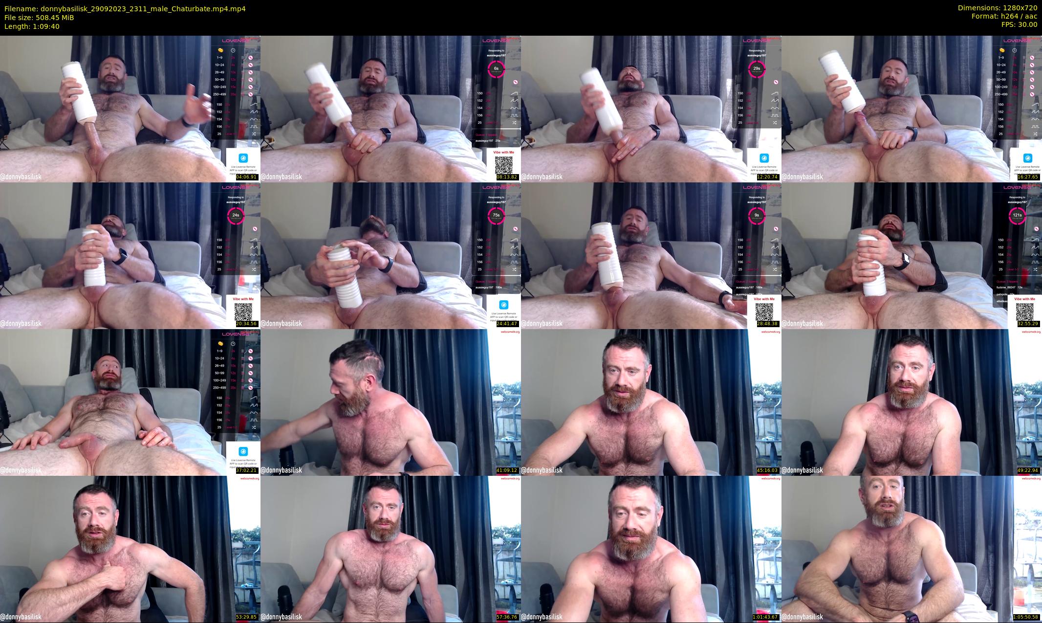 donnybasilisk — 70 minute Chaturbate male cam show recording, 720p, Sep 29, 2023