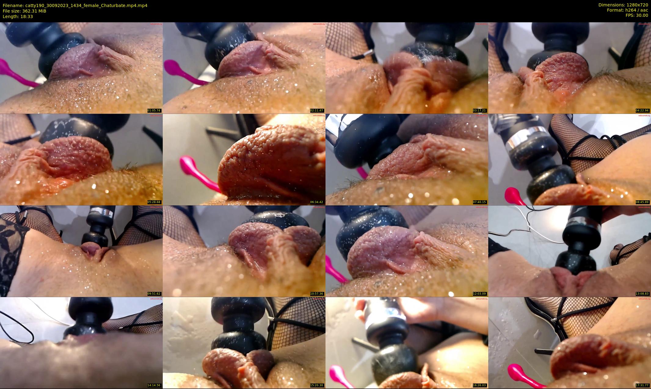 catty190 — 19 minute Chaturbate female cam show recording, 720p, Sep 30, 2023