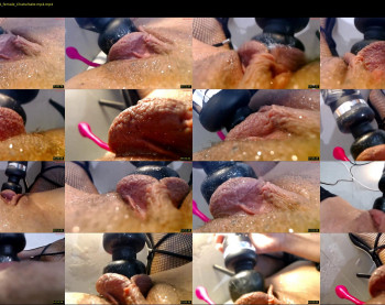 catty190 — 19 minute Chaturbate female cam show recording, 720p, Sep 30, 2023