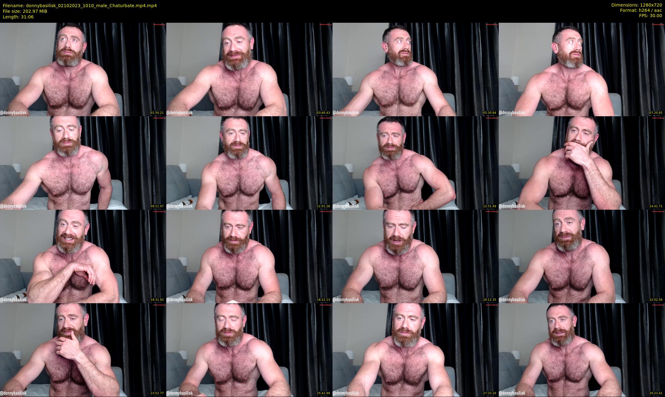 donnybasilisk — 32 minute Chaturbate male cam show recording, 720p, Oct 2, 2023