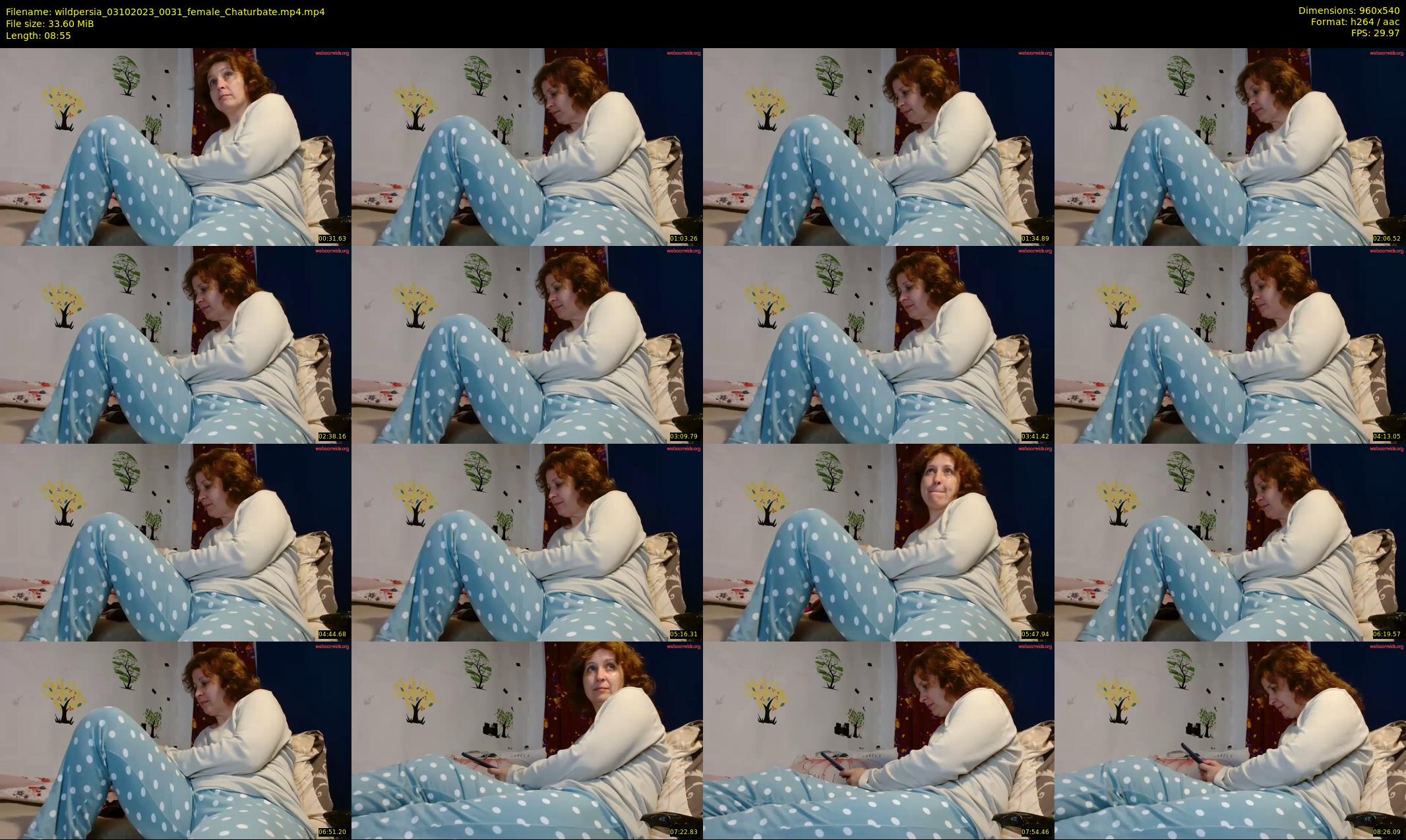 wildpersia — 9 minute Chaturbate female cam show recording, 480p, Oct 3, 2023