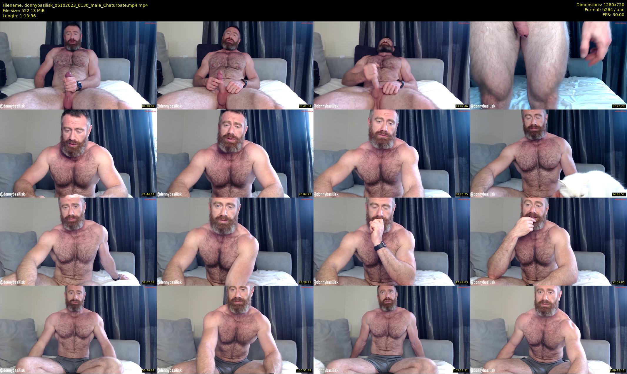 donnybasilisk — 74 minute Chaturbate male cam show recording, 720p, Oct 6, 2023