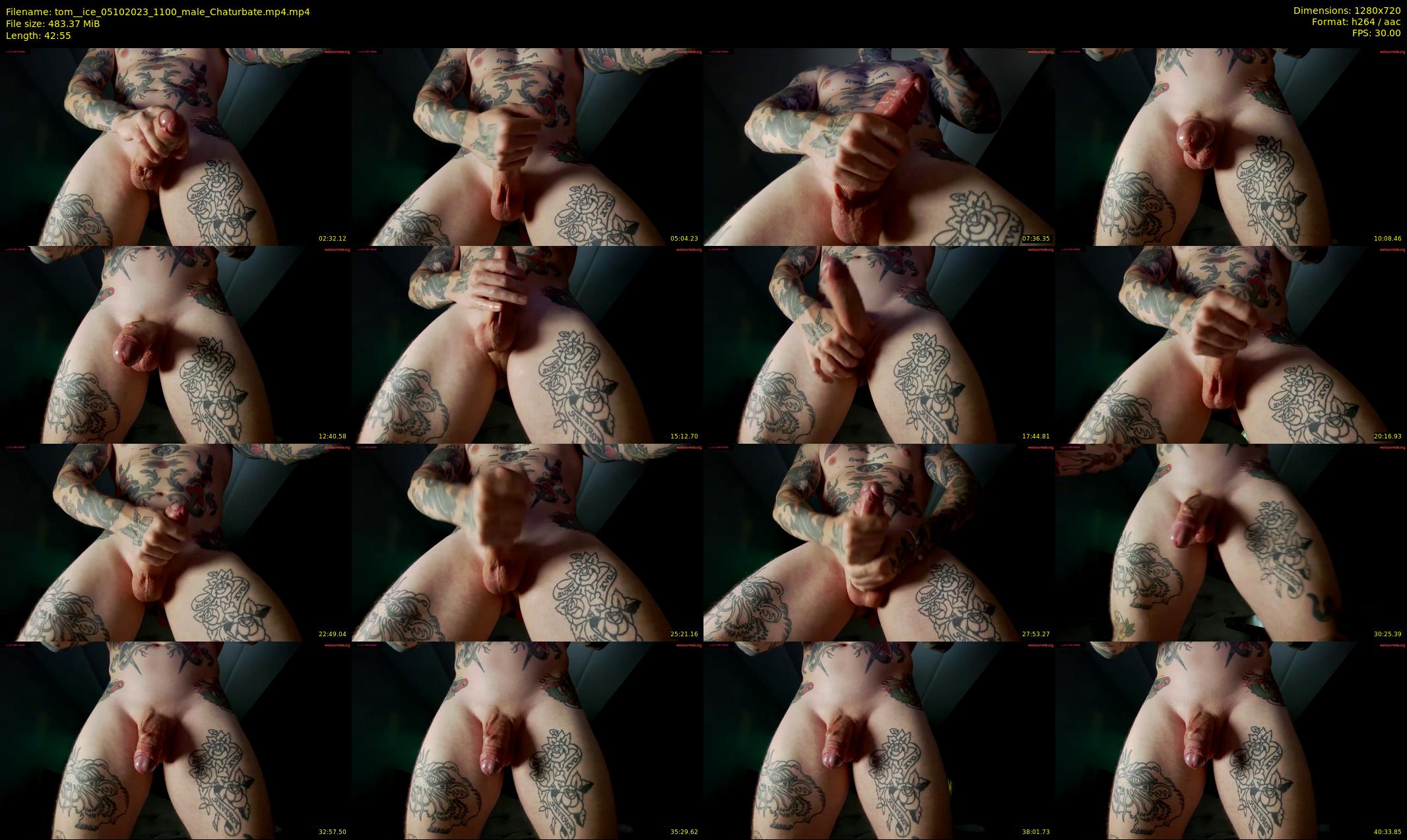 tom__ice — 43 minute Chaturbate male cam show recording, 720p, Oct 5, 2023
