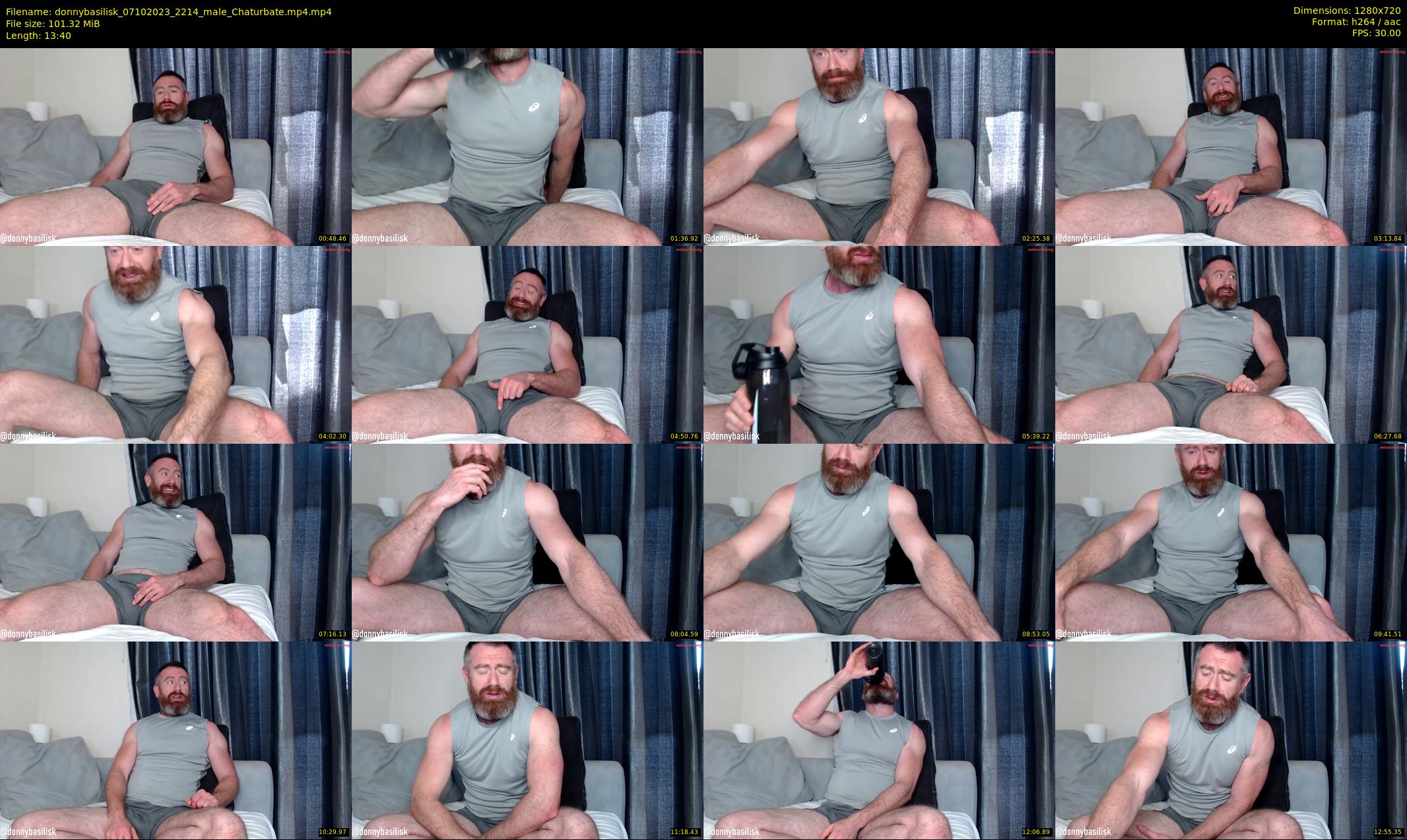 donnybasilisk — 14 minute Chaturbate male cam show recording, 720p, Oct 7, 2023