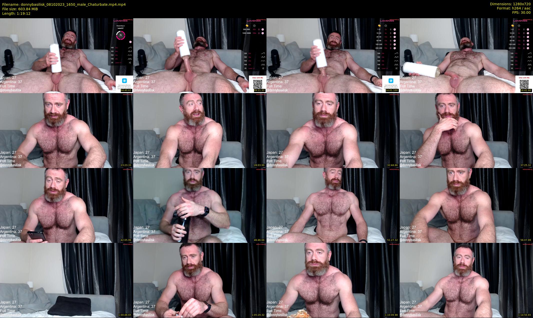 donnybasilisk — 80 minute Chaturbate male cam show recording, 720p, Oct 8, 2023
