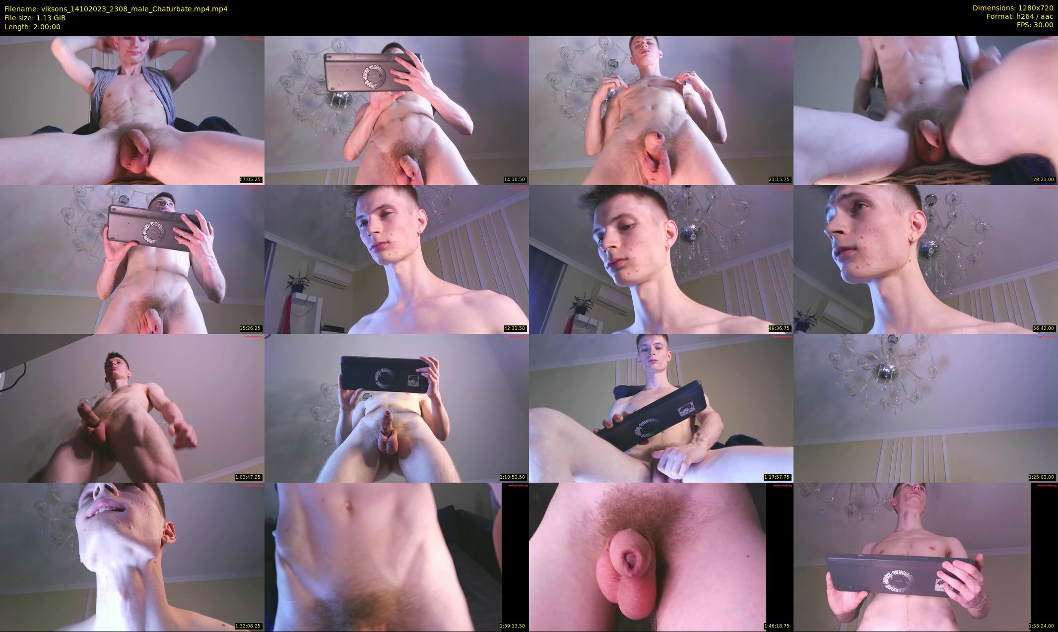 viksons — 120 minute Chaturbate male cam show recording, 720p, Oct 14, 2023
