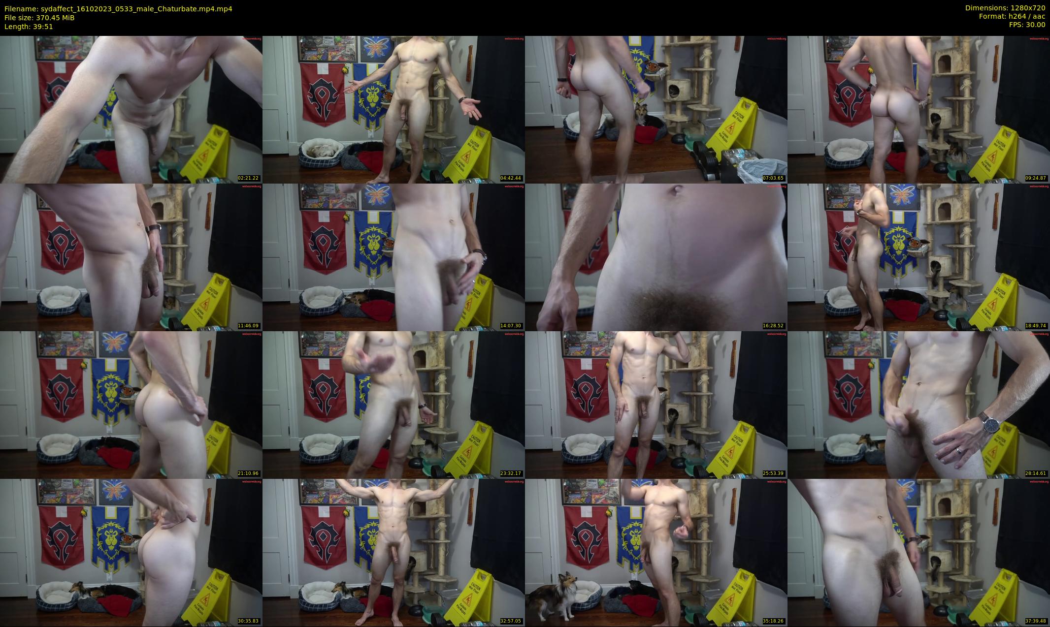 sydaffect — 40 minute Chaturbate male cam show recording, 720p, Oct 16, 2023