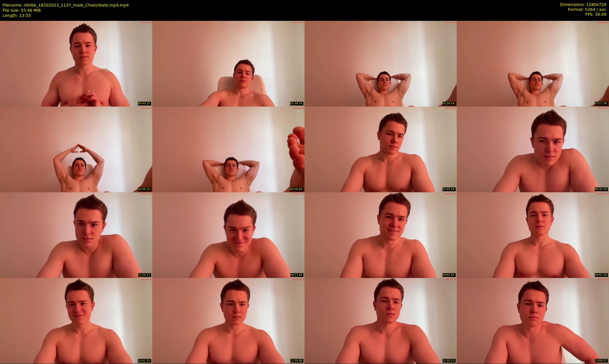 nfeibk — 14 minute Chaturbate male cam show recording, 720p, Oct 16, 2023