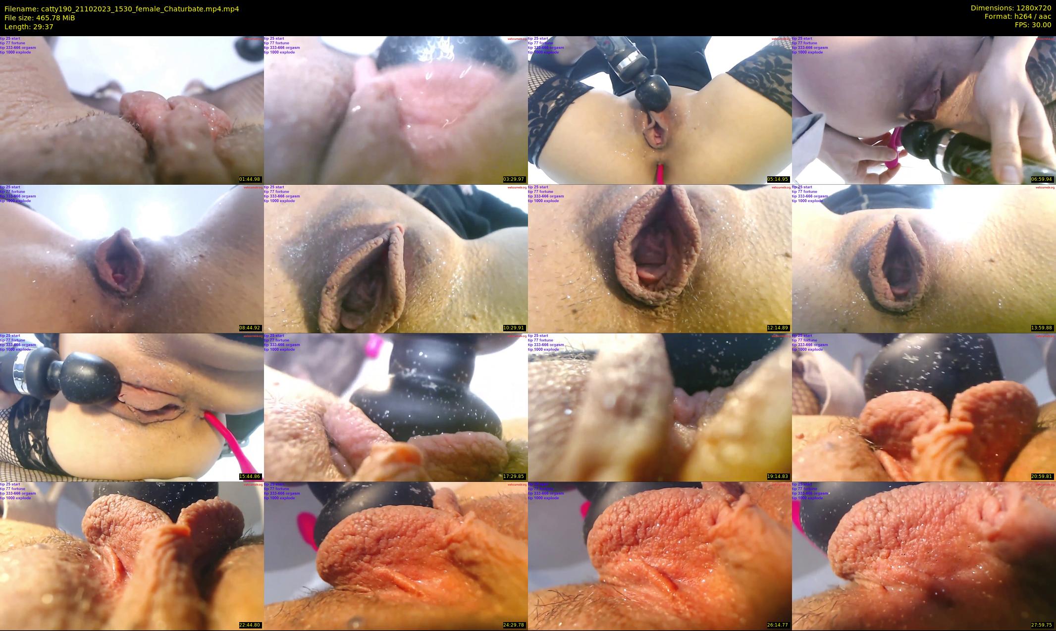 catty190 — 30 minute Chaturbate female cam show recording, 720p, Oct 21, 2023