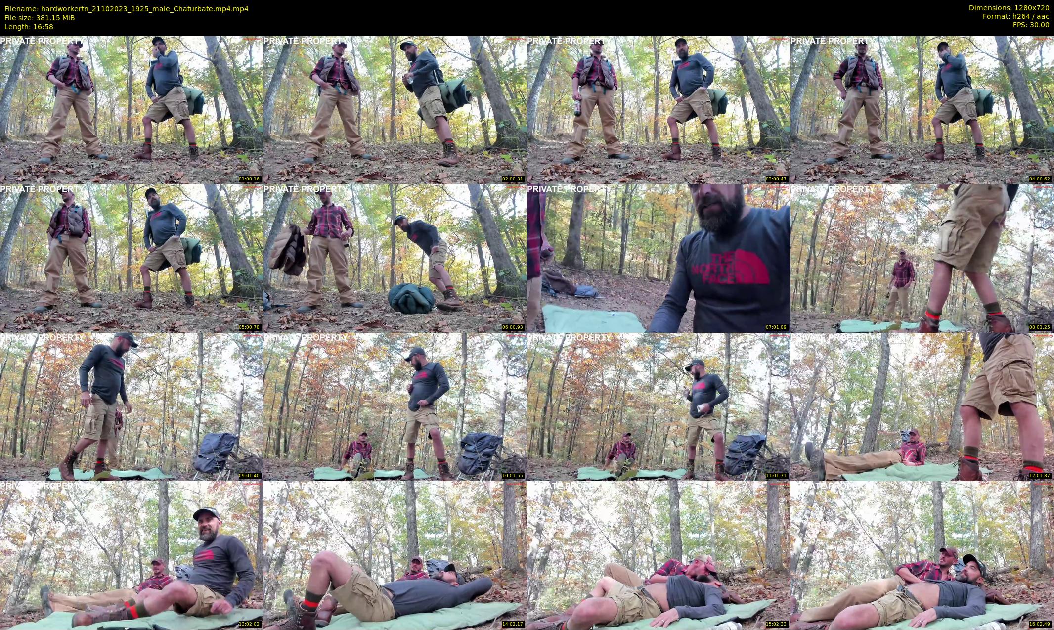 hardworkertn — 17 minute Chaturbate male cam show recording, 720p, Oct 21, 2023