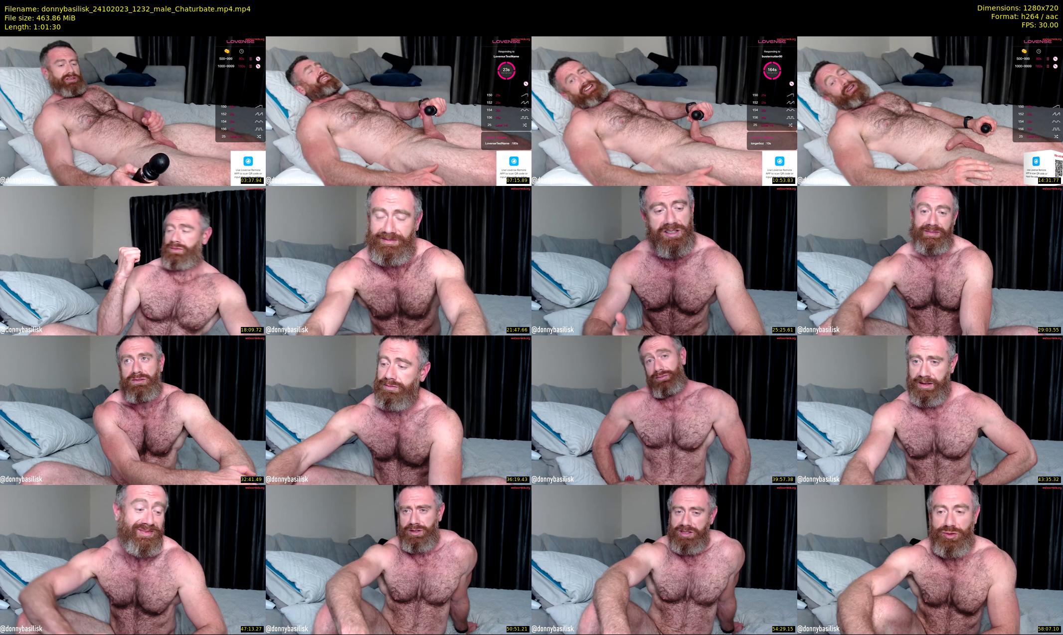 donnybasilisk — 62 minute Chaturbate male cam show recording, 720p, Oct 24, 2023