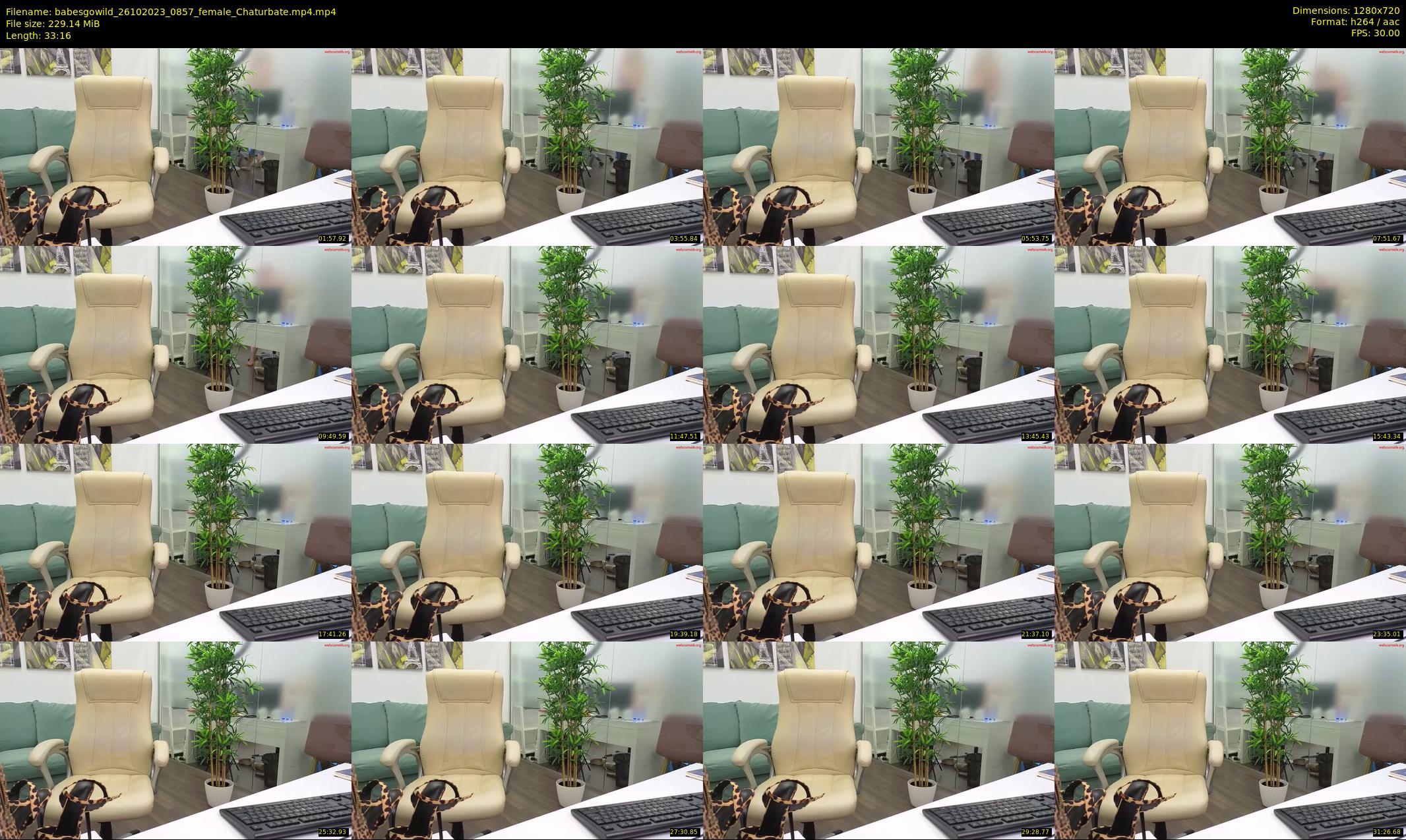 babesgowild — 34 minute Chaturbate couple cam show recording, 720p, Oct 26, 2023