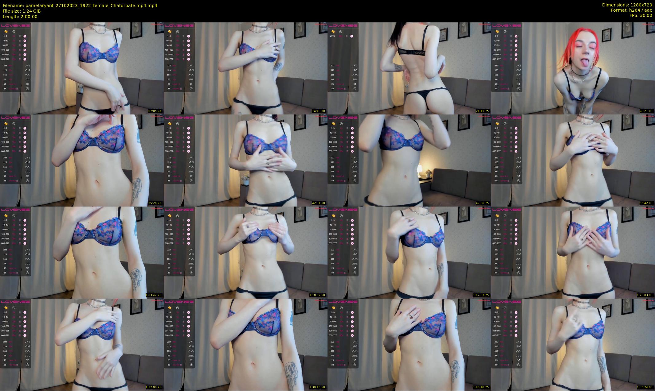 pamelaryant — 120 minute Chaturbate female cam show recording, 720p, Oct 27, 2023