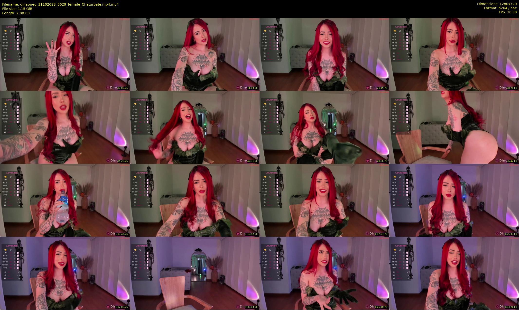 dinaoneg — 120 minute Chaturbate female cam show recording, 720p, Oct 31, 2023