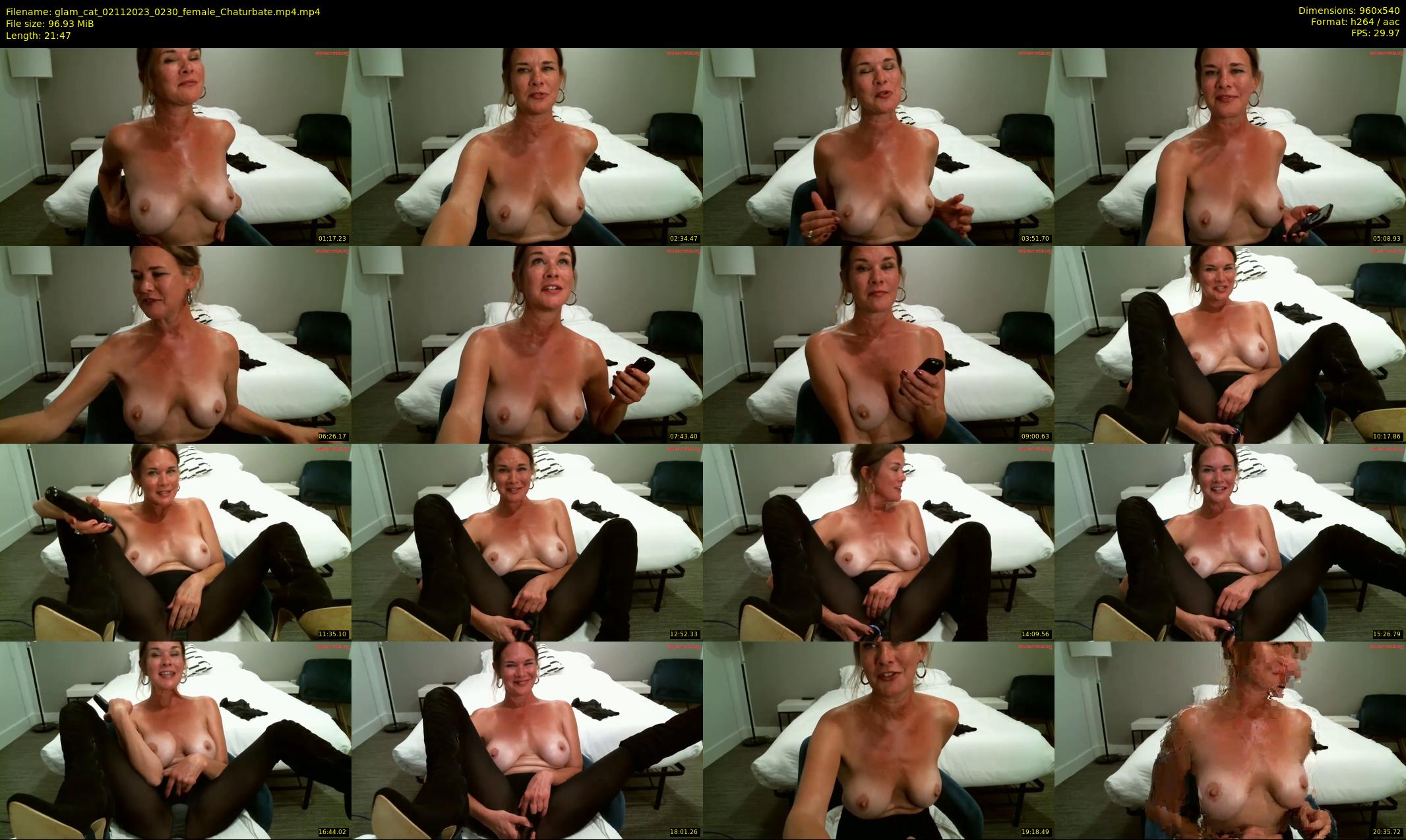 glam_cat — 22 minute Chaturbate female cam show recording, 480p, Nov 2, 2023