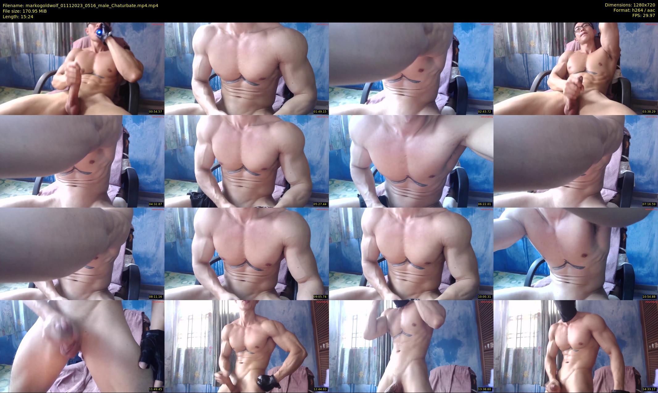 markogoldwolf — 16 minute Chaturbate male cam show recording, 720p, Nov 1, 2023