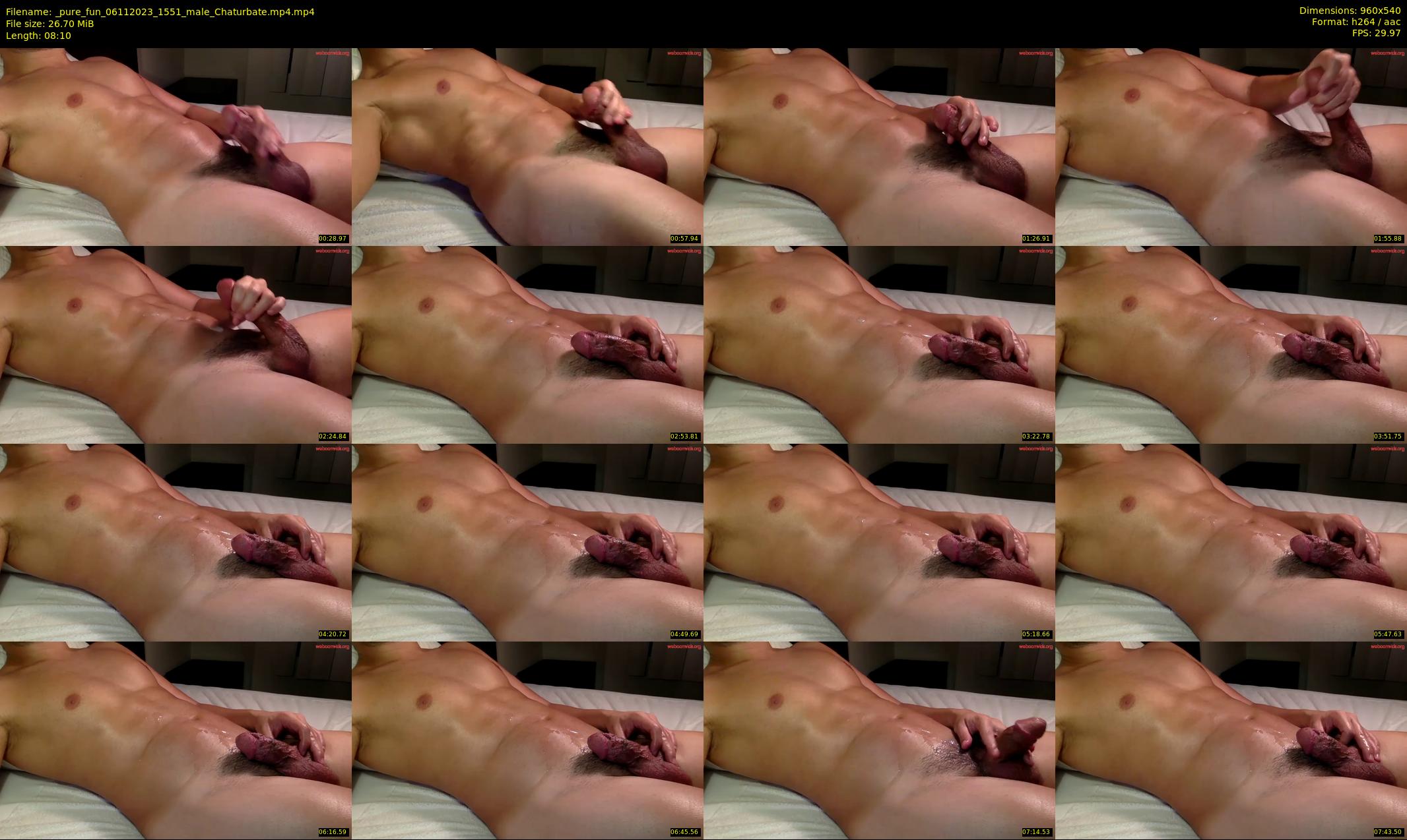 _pure_fun — 9 minute Chaturbate male cam show recording, 480p, Nov 6, 2023