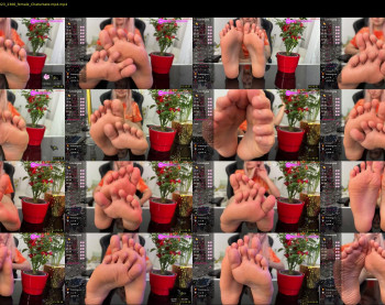 strupedsunicorns — 29 minute Chaturbate couple cam show recording, 720p, Nov 6, 2023
