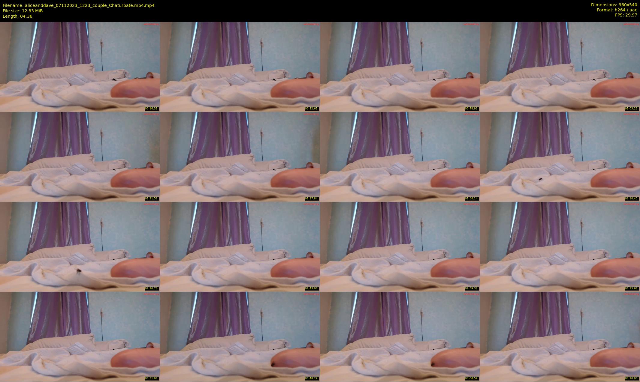 aliceanddave — 5 minute Chaturbate couple cam show recording, 480p, Nov 7, 2023