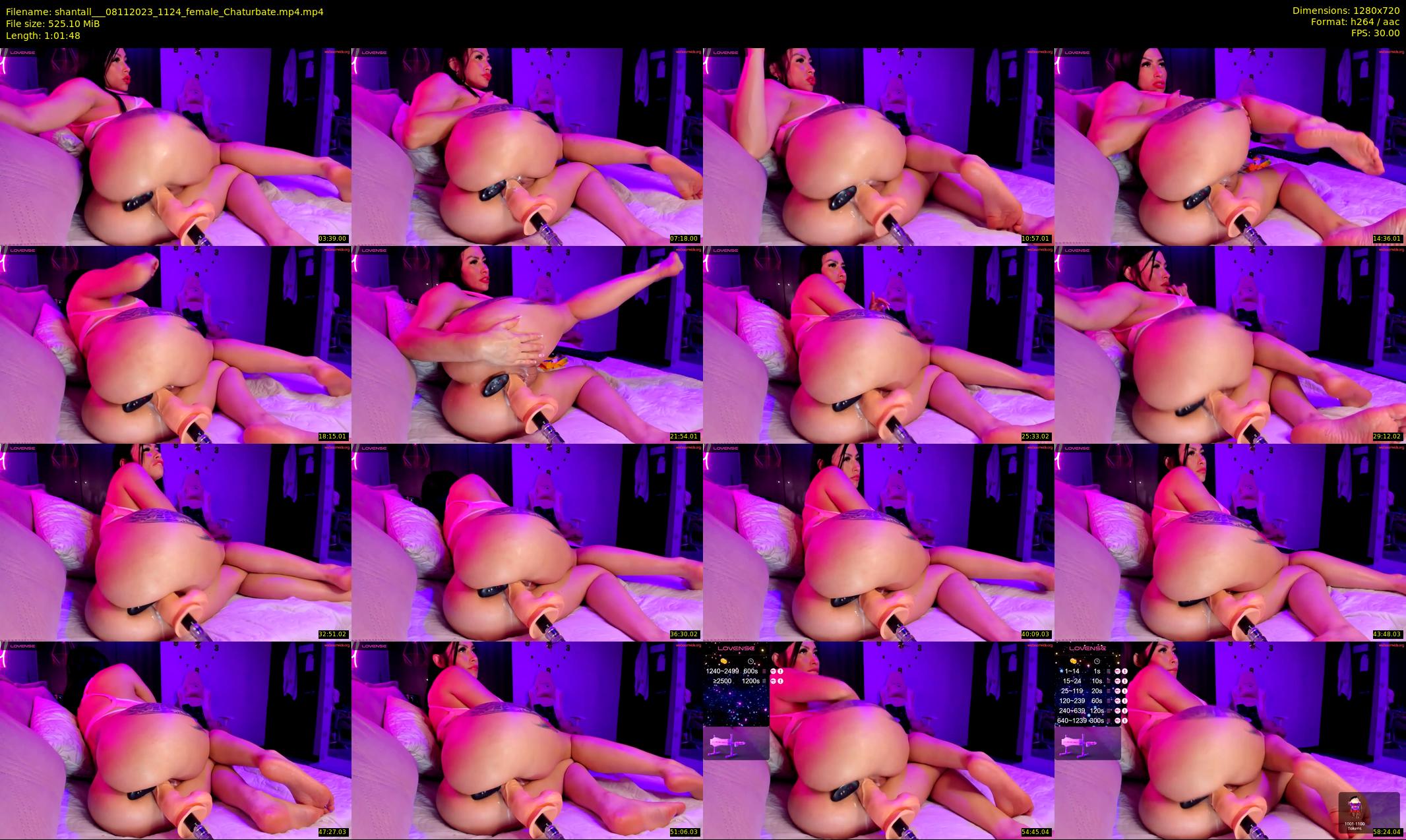 shantall__ — 62 minute Chaturbate female cam show recording, 720p, Nov 8, 2023