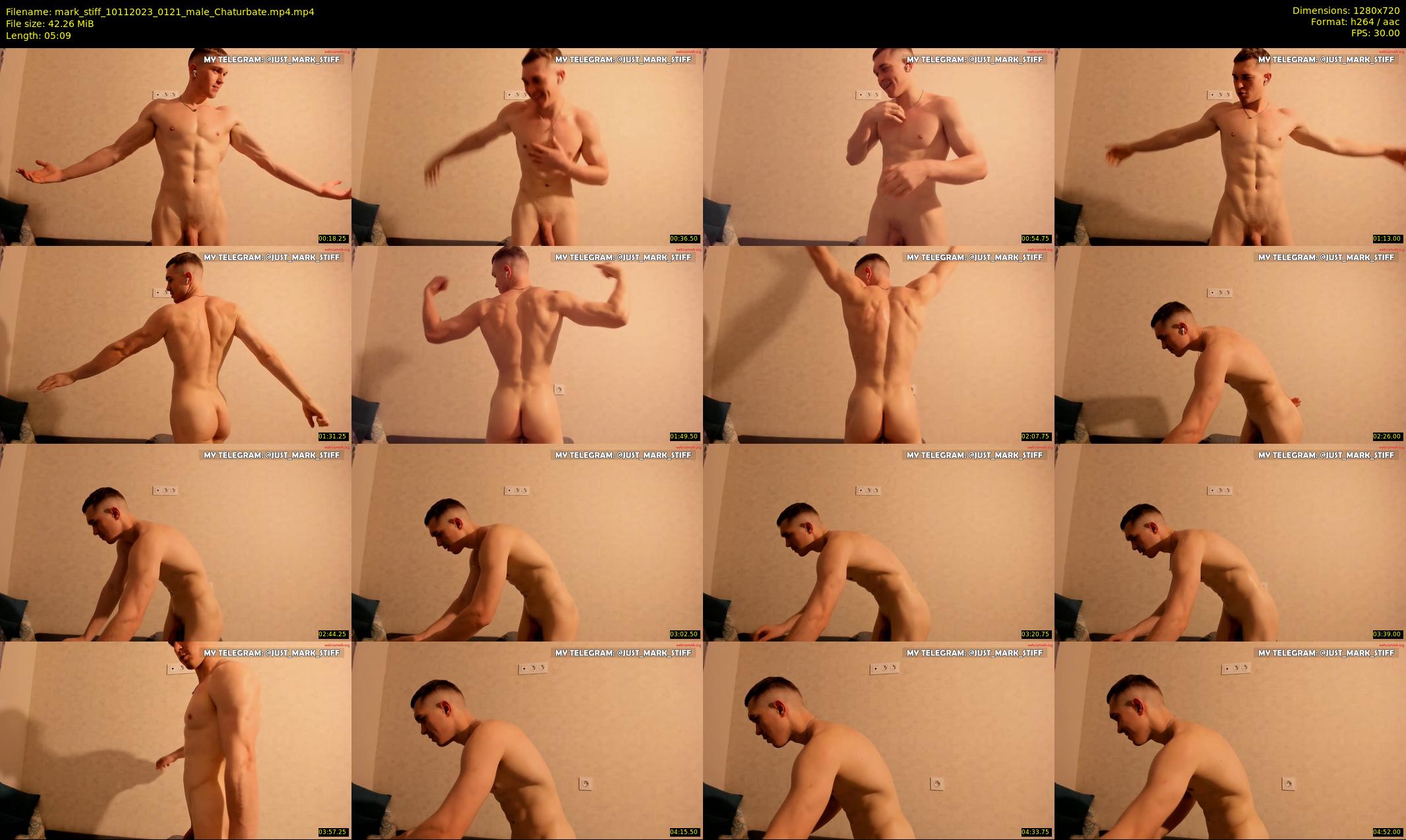 mark_stiff — 6 minute Chaturbate male cam show recording, 720p, Nov 10, 2023
