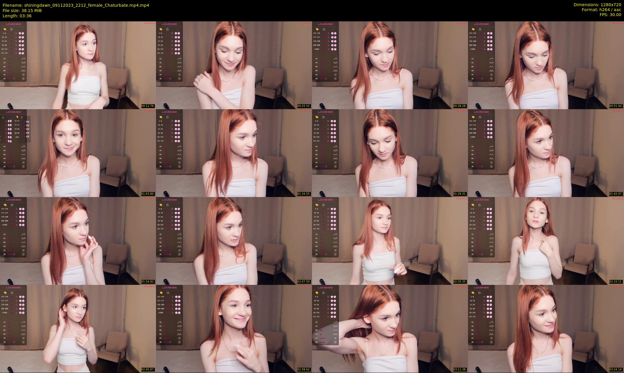 shiningdawn — 4 minute Chaturbate female cam show recording, 720p, Nov 9, 2023
