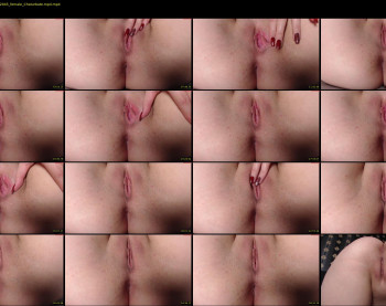 small_angels — 67 minute Chaturbate female cam show recording, 720p, Nov 11, 2023