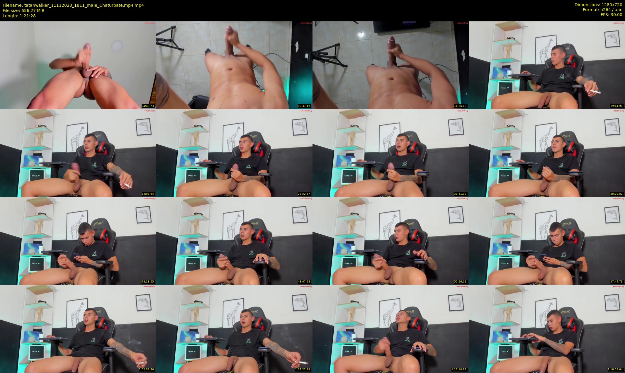 tatanwalker — 82 minute Chaturbate male cam show recording, 720p, Nov 11, 2023