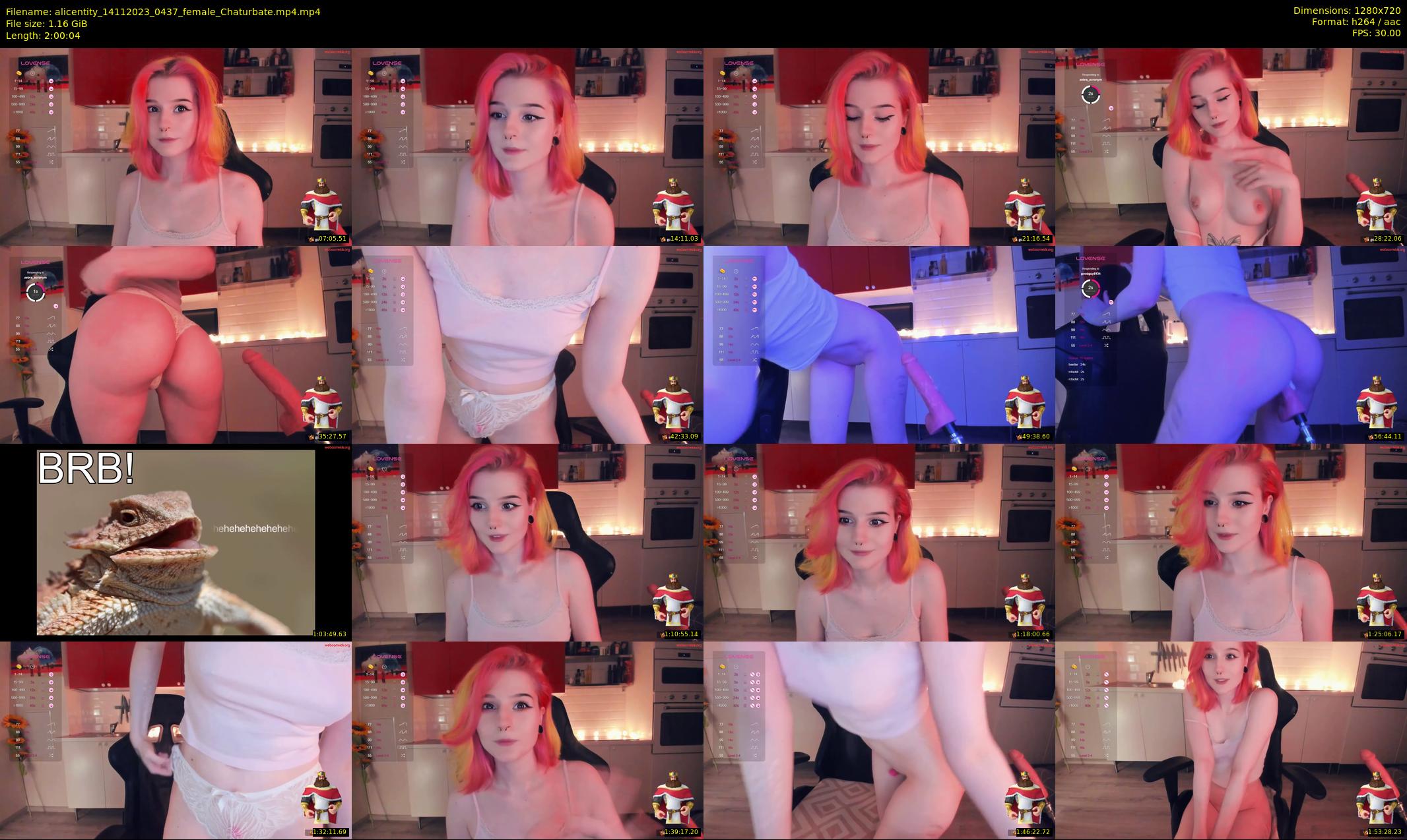 alicentity — 121 minute Chaturbate female cam show recording, 720p, Nov 14, 2023